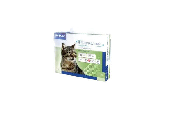 EFFIPRO DUO GATTO