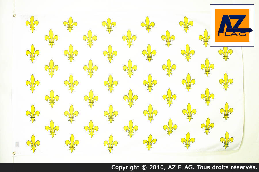 BANDIERA REGNO DI FRANCIA 90x60cm - BANDIERA FIORE DI LIS BIANCO AZZURRO - REALE