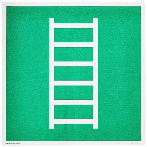 E059 Safe condition escape ladder Sign - 300x300mm - S30