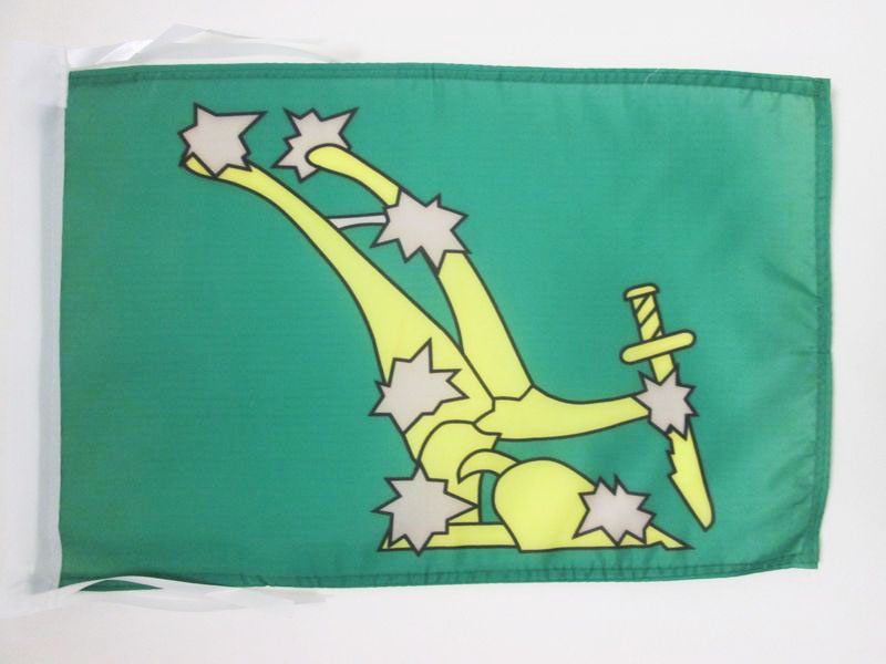 BANDIERA IRLANDA STARRY PLOUGH VERDE 45x30cm - BANDIERINA IRISH REPUBLICAN MOVEM