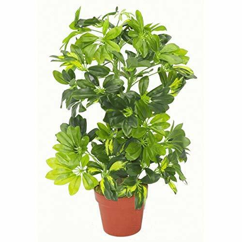 Leaf LEAF-7008 Ombrello Artificiale Schefflera Arboricola, 75 cm, Colore, (Z2C)