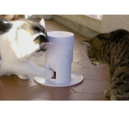 DISTRIBUTORE CROCCHETTE GATTO AUTOMATICO MANGIATOIA CIOTOLA GATTO AUTOMATICA