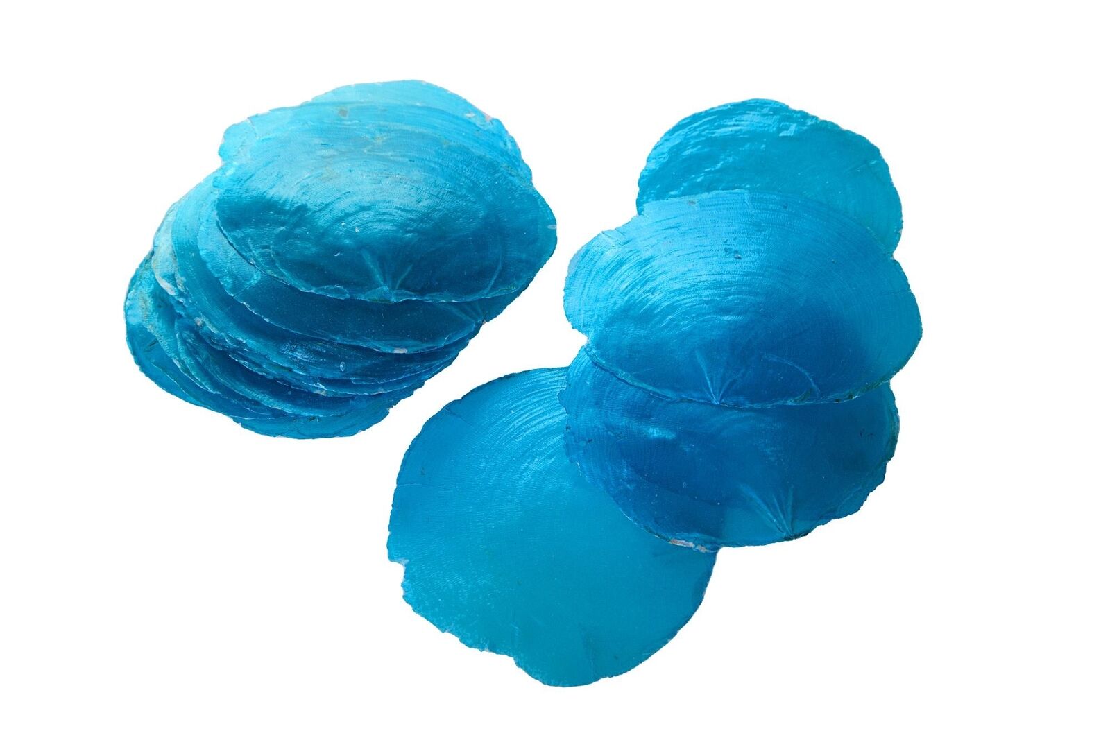 Set 4 Conchiglie Camar Capiz Colorata 250 gr