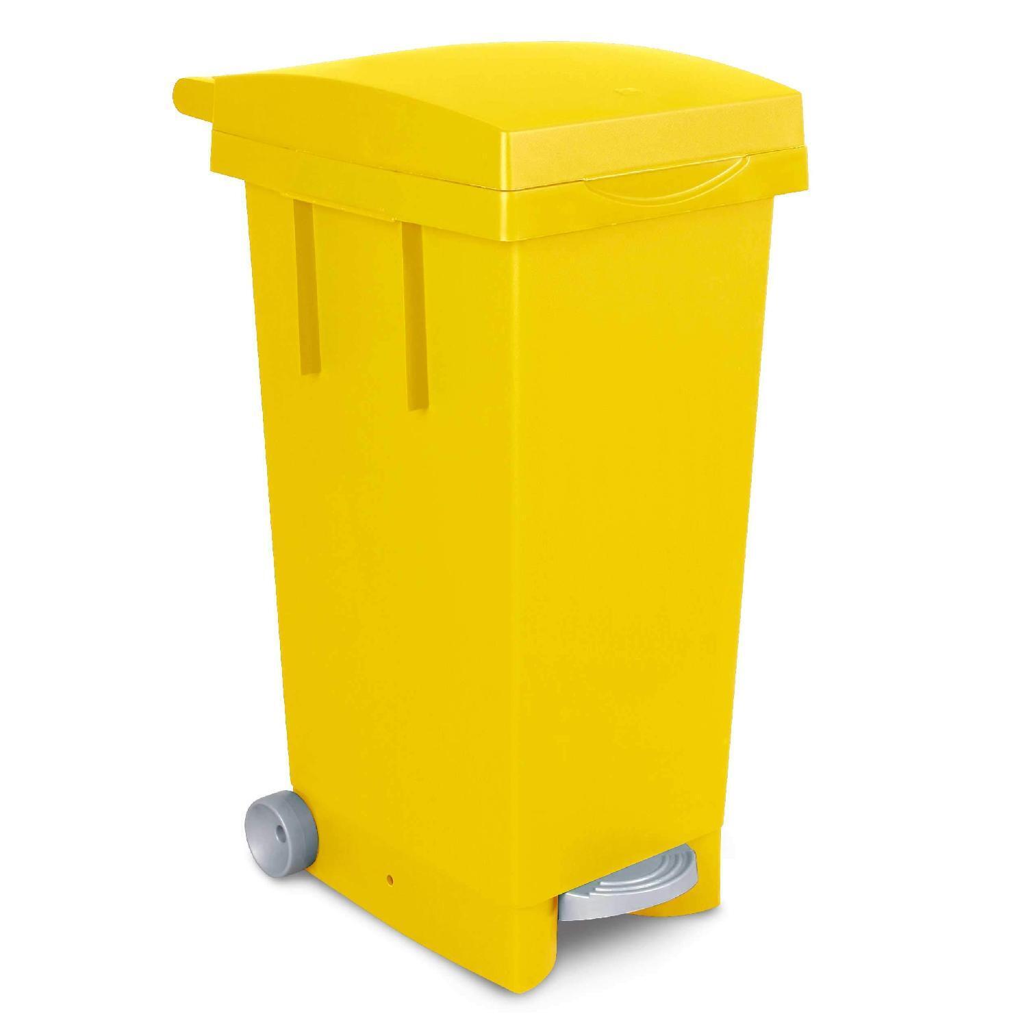 I.C.S. Pattumiera raccolta Differenziata Bidone Spazzatura 80Lt C656085