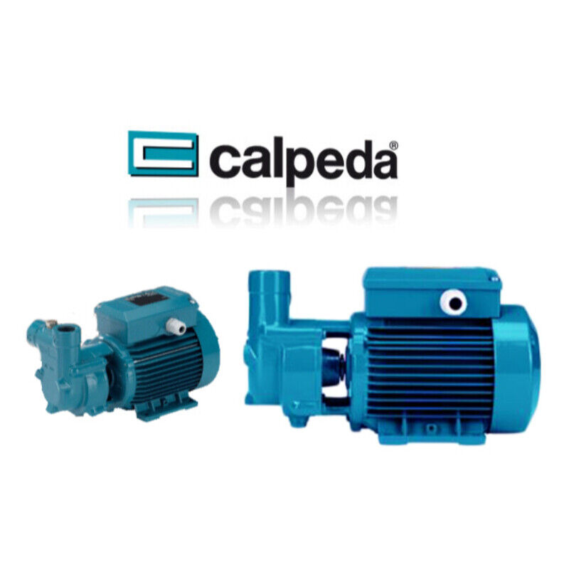 Elettropompa CALPEDA CAM 91/A-R - Pompa Monofase Autodescante da 0,75kw (1 HP...