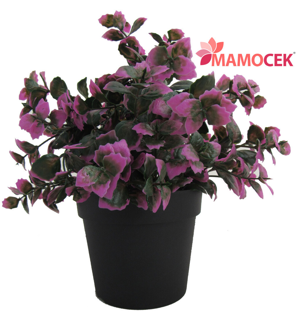 PIANTA Piantina verde rosa finta diam.9,5 h20 artificiale pvc