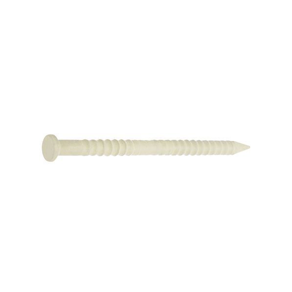 CONDY - 60gr DI CHIODI ZIGRINATI BEIGE 1,8X38