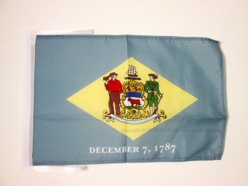 BANDIERA DELAWARE 45x30cm - BANDIERINA STATO AMERICANO – USA - STATI UNITI 30 x