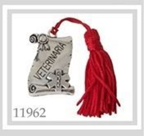 Ciondolo pergamena laurea VETERINARIA deco bomboniera 40x30mm art 11962
