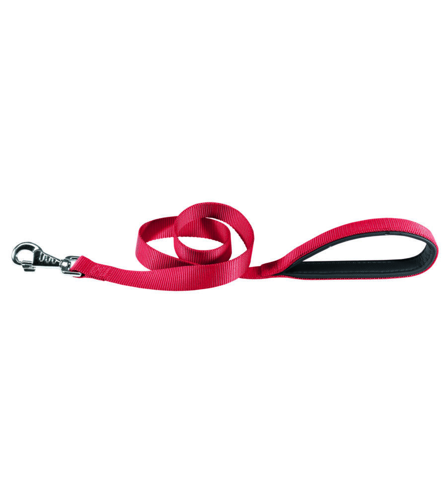 DAYTONA G25/120 ROSSO GUINZ. - FERPLAST.