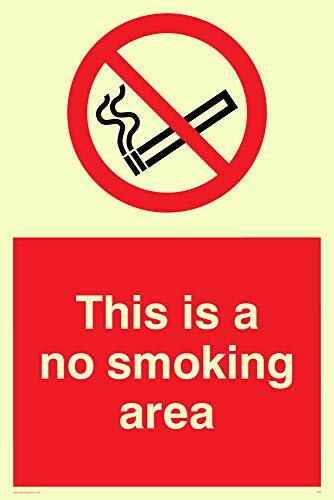 Viking segni ps9-a4p-p"This is a no smoking area Sign, plastica, semirigida, 300