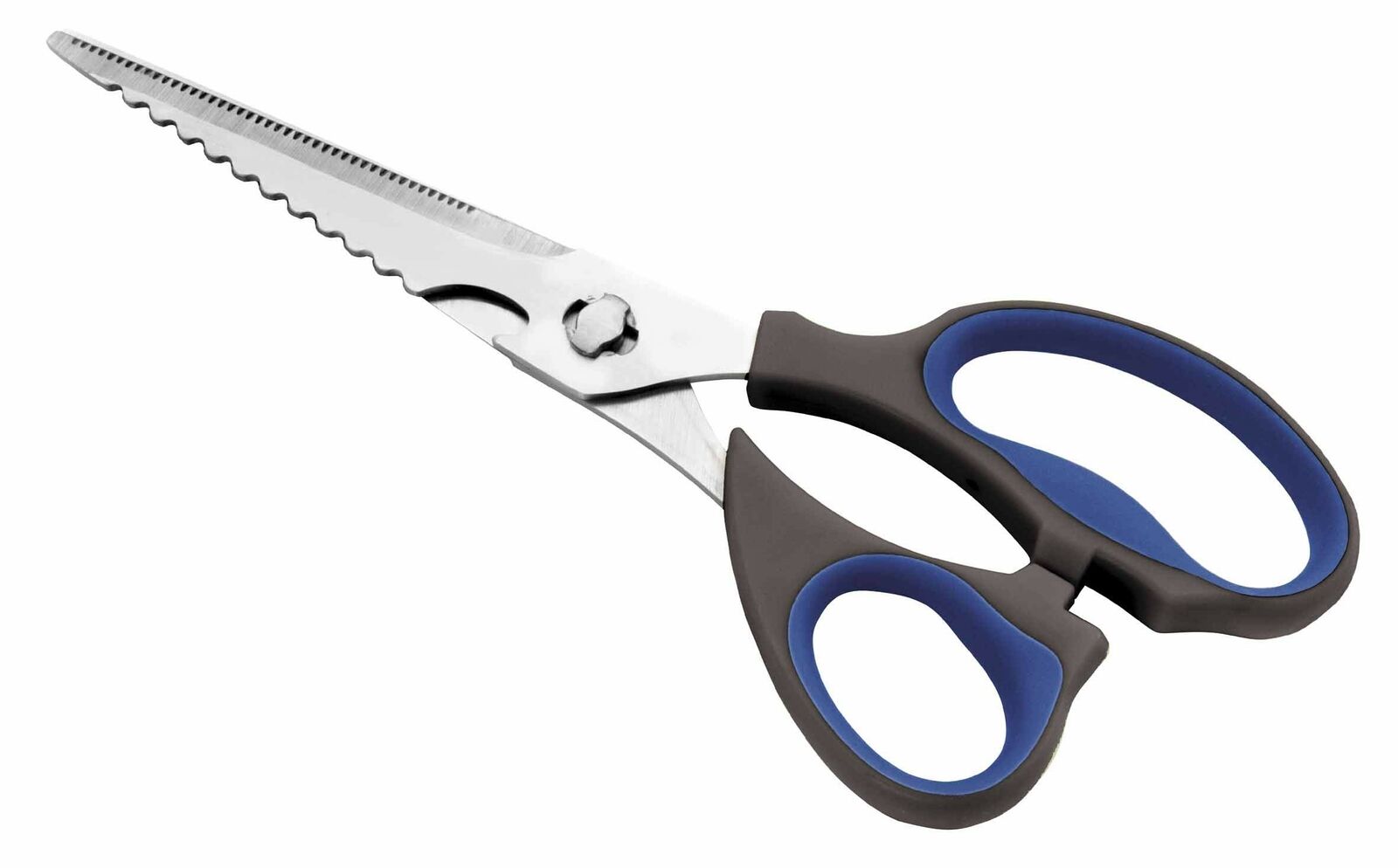 Lacor 60061- Forbici/squamatore smontabili 23 cm (w8o)