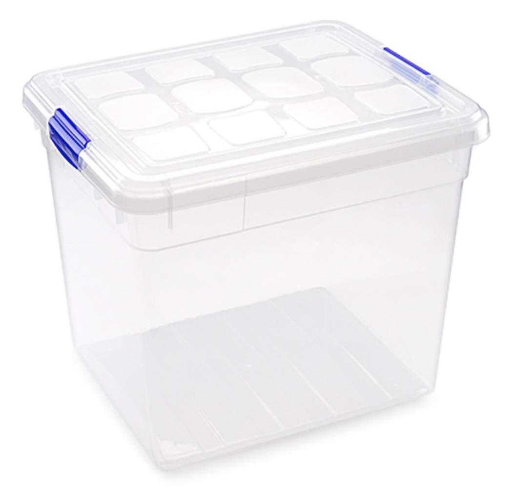 Plastic Forte - Scatola portaoggetti No17, 42 x 36 x 35 cm, 35 Litri, Chiusura a