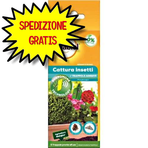 SOLABIOL CATTURA INSETTI GERANEO E BOSSO 5 TRAPPOLE ADESIVE BIO - 1PZ