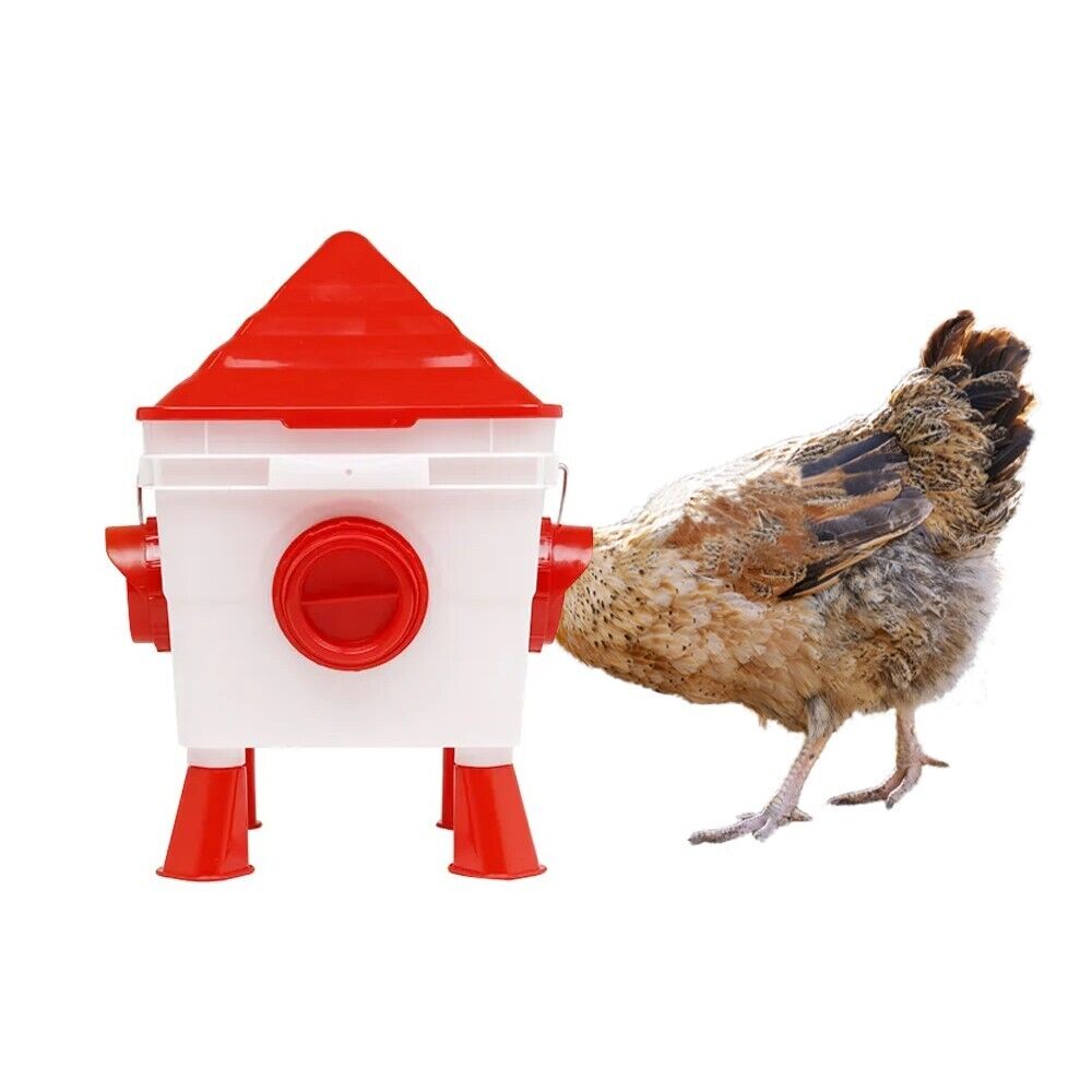 mangiatoia automatica per polli galline 4 porte piedini antispreco a gravità DIY