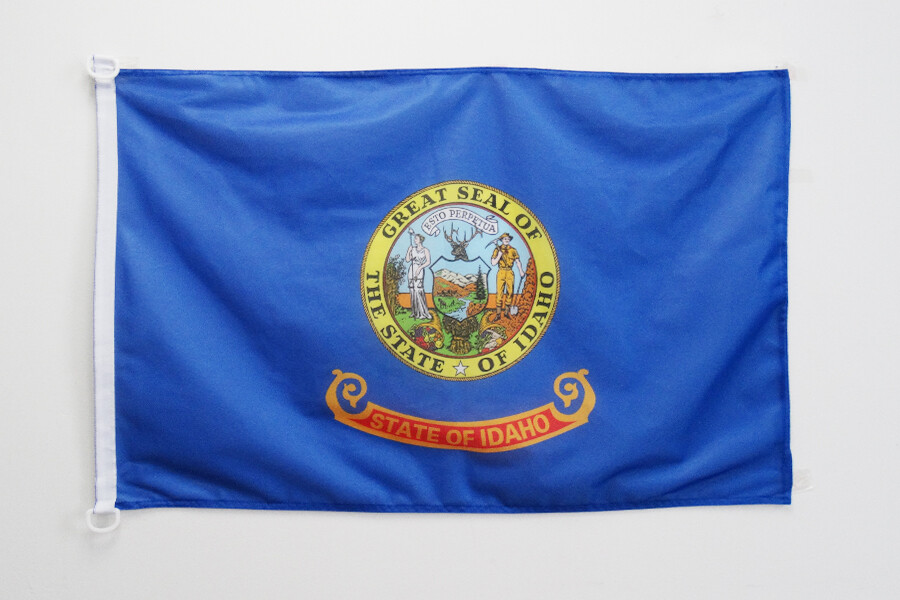 BANDIERA IDAHO 90x60cm per esterno - BANDIERA STATO AMERICANO – USA - STATI UNIT