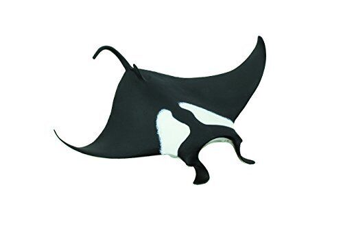 Manta Ray (g6M)