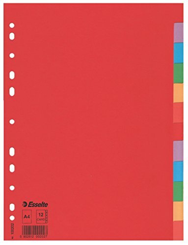 Separatori in Cartoncino Esselte - A4 - 12 Tasti - 100202 (Assortiti)