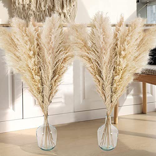 12 PCS Erba Della Pampas Essiccata 120CM Grande Pampas Grass Secca (R7U)