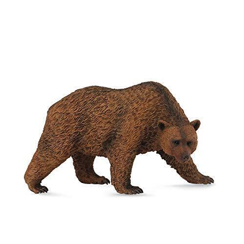 Collecta c88560 Orso Bruno (M2R)