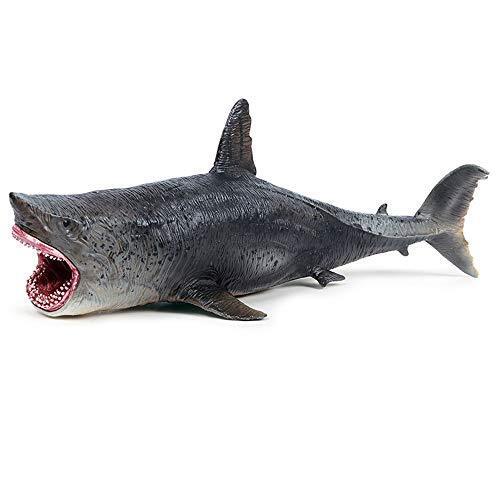 Modello Megalodon,Sea Life Megalodon Modello,Giocattolo Animale in (Q1V)