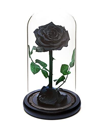 Rosa Eterna per sempre | Regalo di rose fresche | Conservate per 5 anni | (l3M)
