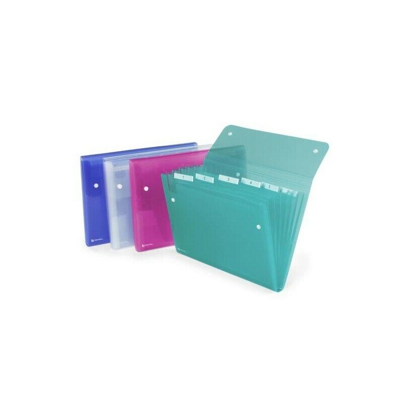 Cartella a 6 Tasche 22x30 cm Colori Assortiti Ice REXEL (10 Pz)