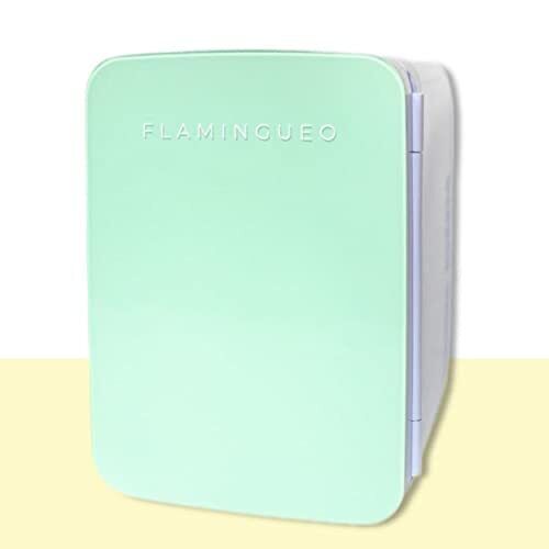 Flamingueo Frigorifero Piccolo - Mini Frigo 10L, Frigo Piccolo 12V/220V, (D2C)