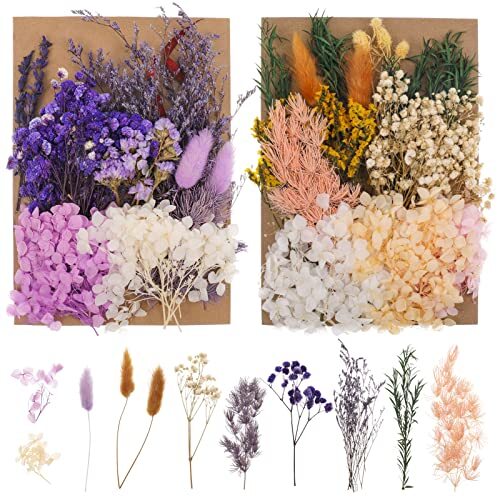 Bohoman Fiori Secchi Naturali, 2 Borse Fiore Essiccato Pressati Fiori (J3I)