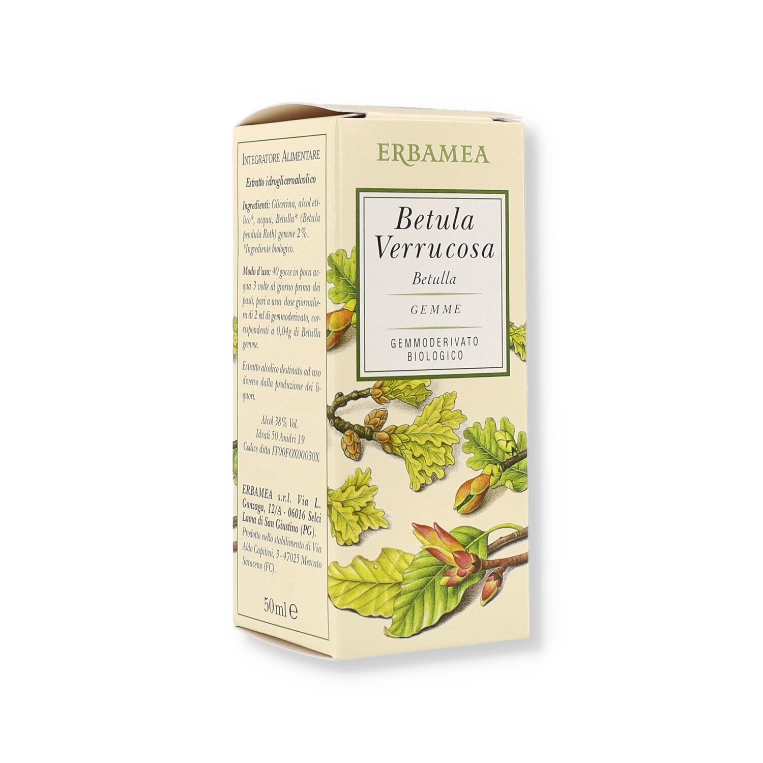Betula Verrucosa Gemmoderivato Erbamea 50ml
