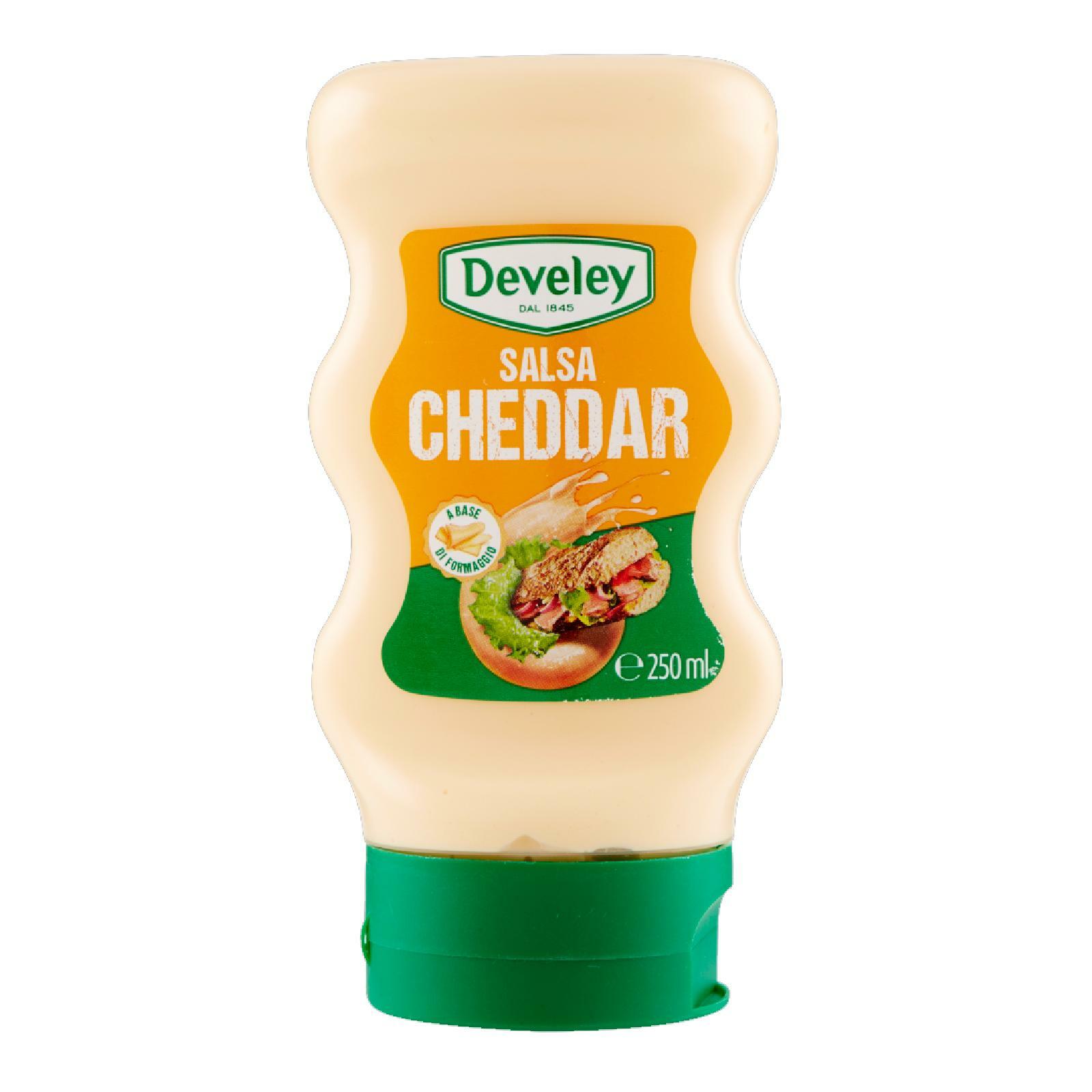 SALSA CHEDDAR DEVELEY CHEDDAR BOTTIGLIA SQUEEZE 250 ml SALSE CONDIMENTO