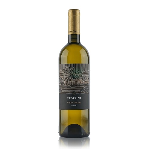 VINO BIANCO PINOT GRIGIO IGT VIGNETI D.DOLOMITI | CANTINA CESCONI