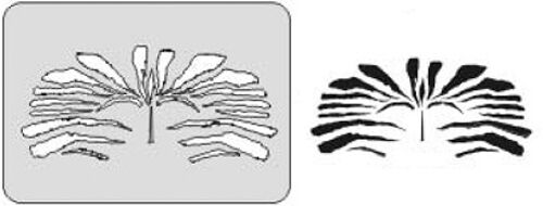 Stencil per face-painting Senjo "Fantasy Face 2" A4 (410238)