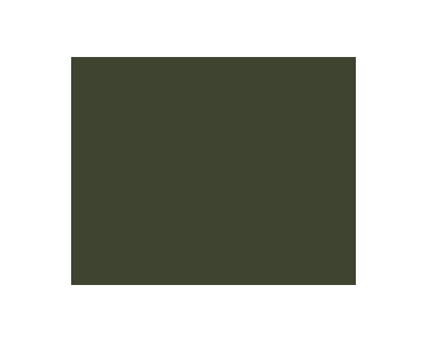 Italeri 4842AP Colore acrilico Flat Olive Drab Ana 613 USAF (20ml) modellismo