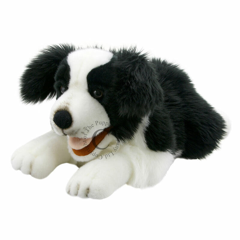 Burattino Peluche border Collie the Puppet Company PC003007 puppet hand marionet