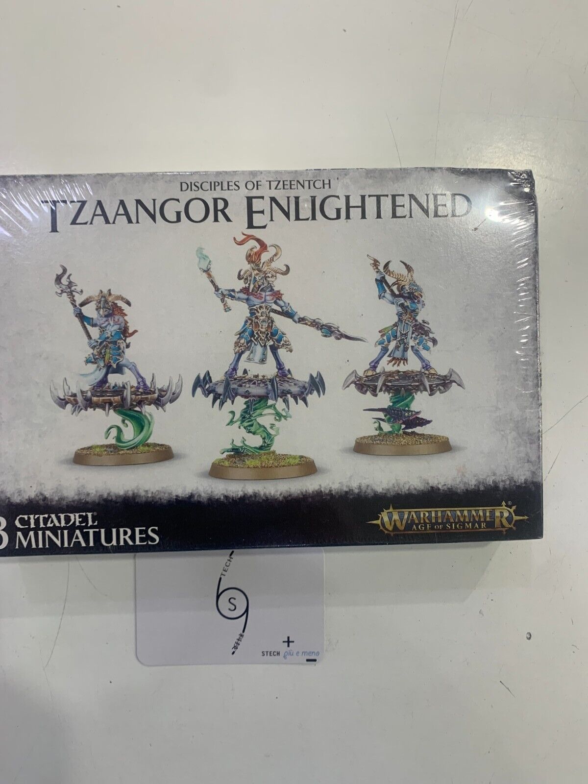 Warhammer TZAANGOR ENLIGHTENED Disciples Tzeentch AGE OF SIGMAR - Games Workshop