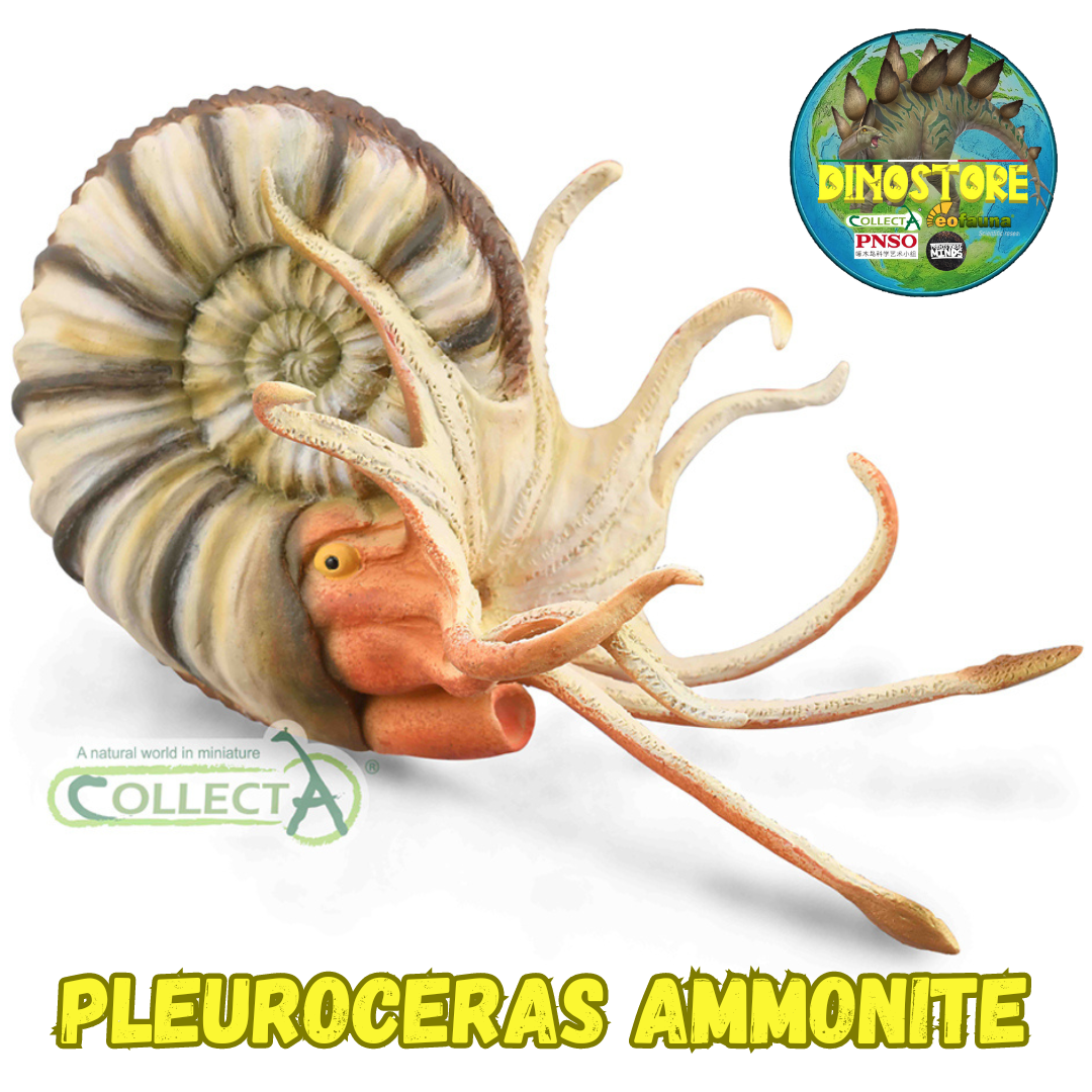 CollectA 88902 Pleuroceras Ammonite - Modello Cefalopode - Conchiglia