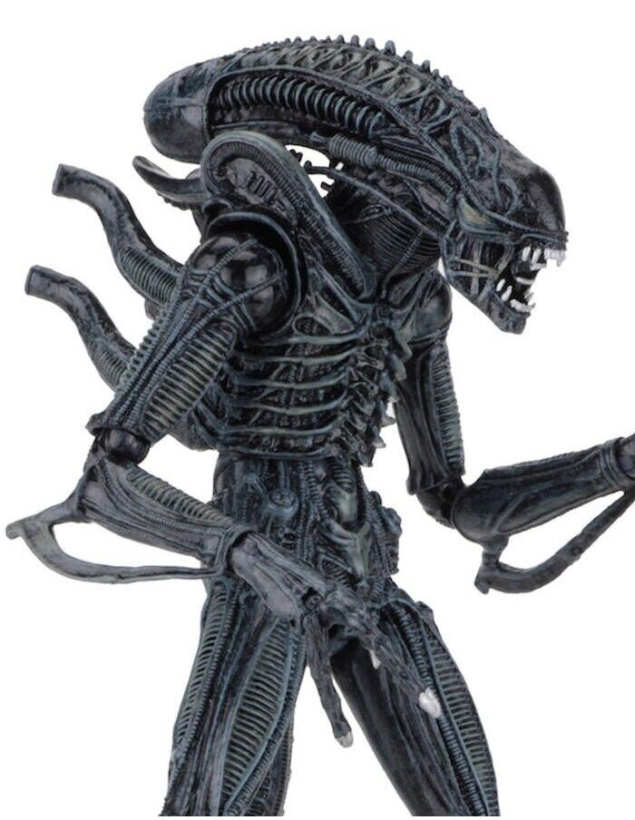 NECA ALIENS 1986 ULTIMATE EDITION BLUE XENOMORPH ACTION FIGURE NEW NUOVO