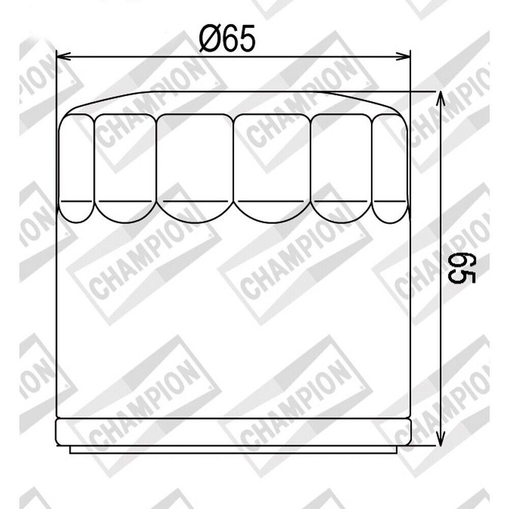 FILTRO OLIO CHAMPION COF091  per Benelli 302 302S 2019-2019