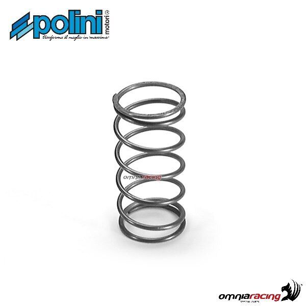 Polini variator contrast spring for Italjet Velocifero 50 2T air cooled