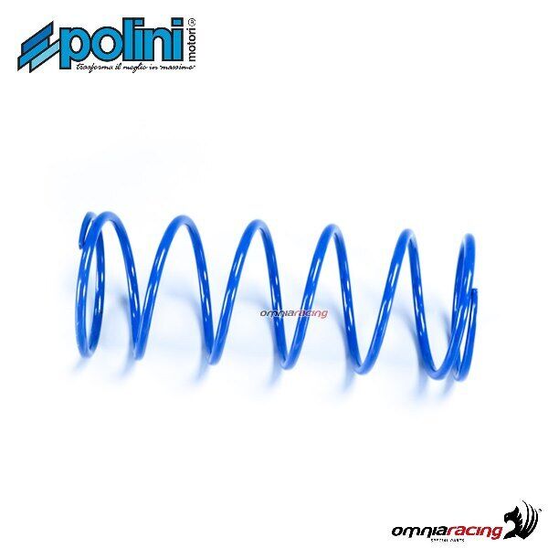 Molle di contrasto Polini per Italjet Dragster 180