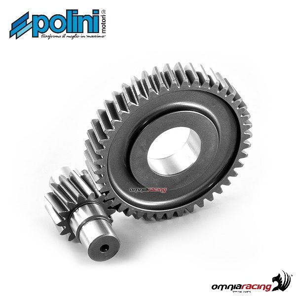 Ingranaggio secondario Polini Z=14-43 Piaggio Liberty 50 Iget 3V Ie E4 18>