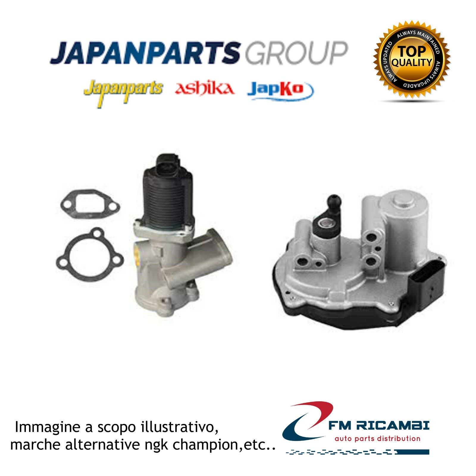 EGR-0406 JAPANPARTS Valvola EGR OP.ASTRA F CABR.