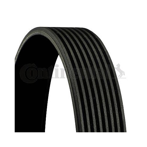 Cinghia Poly V Continental Ctam 8PK2000 per Mercedes Benz Mercedes Benz Scania