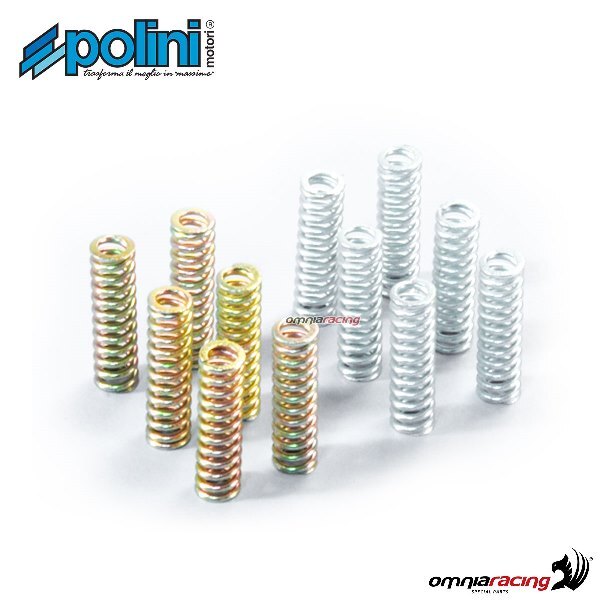 Set molle frizione Polini per Kymco AK550 Euro 4 2017>