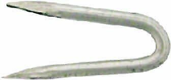 Centurion NL11P Galvanized Staples, multicolore, 20 mm (H8x)