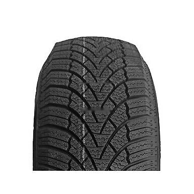 165/60 R15 81 H ROADMARCH - WINTER XPRO 888 XL BSW M+S 3PMSF
