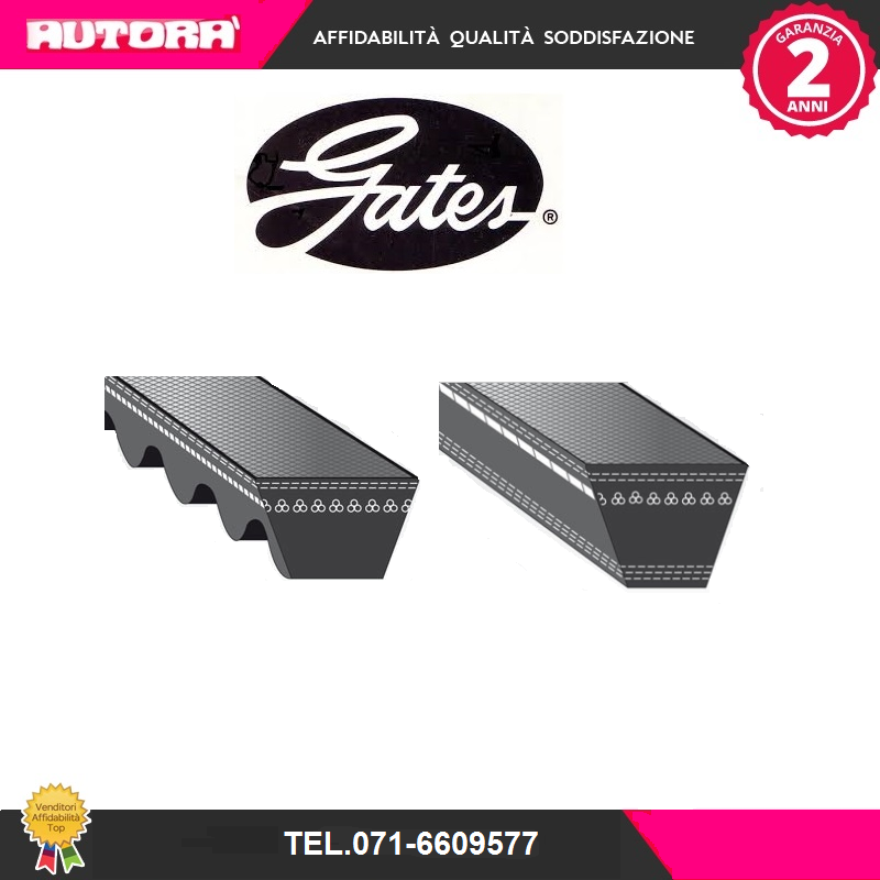 6260MC Cinghia trapezoidale (MARCA-GATES)