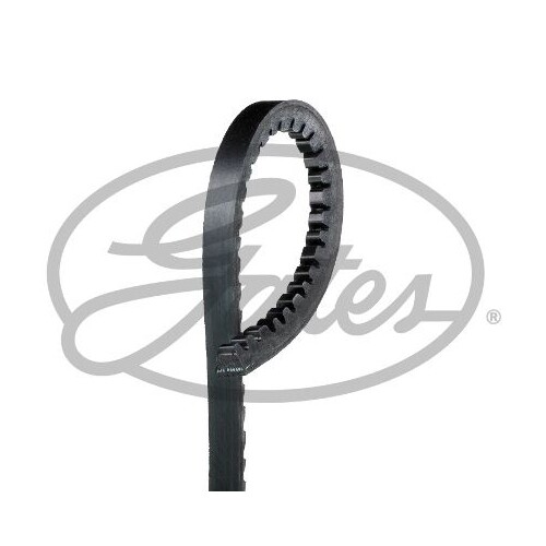 Cinghia Trapezoidale Gates 6260MC per Audi Berliet Commer Fiat Lancia Renault VW