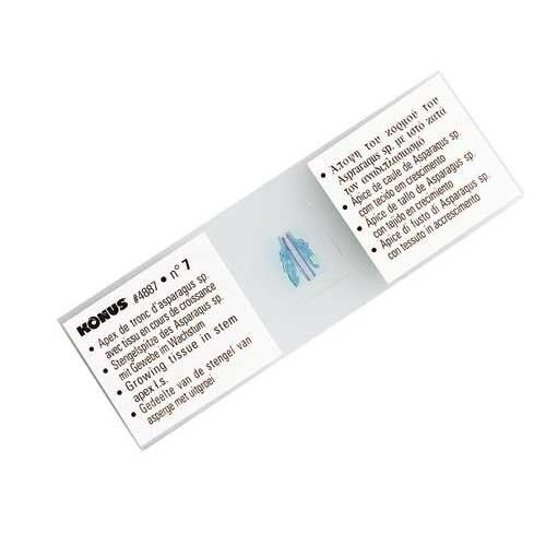 25 Vetrini Preparati Microscopio KONUS Botanica #4984 botanica angiosperme